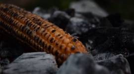 corn on the cob, bhutta