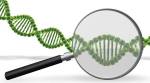 dna tool maharashtra crimes against women children