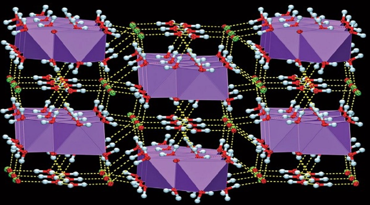 A crystal of sodium hypochlorite contains alternating layers of hydrated Na+ ions (purple octahedral) and chains of water molecules (oxygen = red; hydrogen = white) flanked by ClO– ions (chlorine = green), held together by hydrogen bonds (yellow dashes).
(Angew. Chem., Int. Ed. via C&EN)