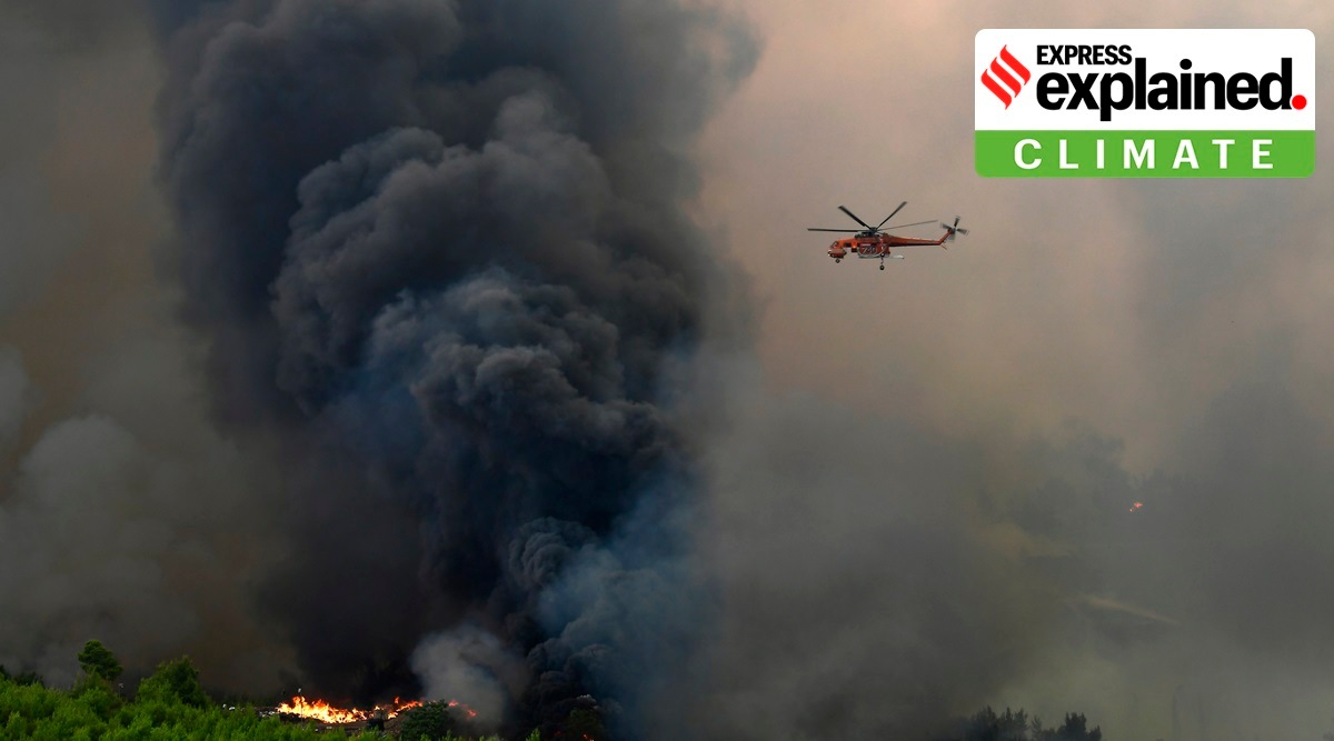 Forest fire in Agios Stefanos, in northern Athens, on Friday. (AP/PTI)
