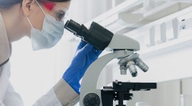 Glenmark Life Sciences IPO, Glenmark Life Sciences shares, Glenmark Life Sciences share allotment