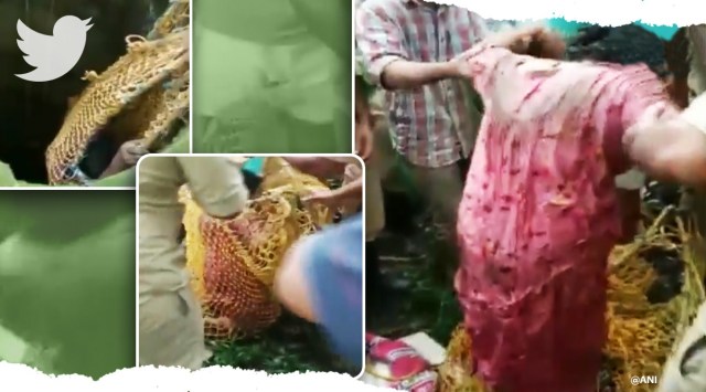 kerala woman rescued, Fire Department Officials rescue kerala woman viral video, woman rescue videos, trending, viral videos, indian express, indian express news