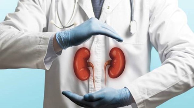 pig kidney transplant, pig kidney humans, pig kidney transplant in human, US scientists, US research on kidney transplant, world news, Indian express