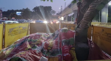 Mazar in South Delhi vandalised for second time in a month, 2 held