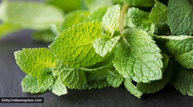 mint