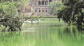 newsline-lake-4col no alt set