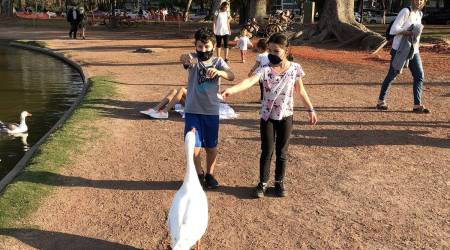 pandemic, child socialisation