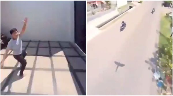 parrot flying away with phone viral video, parrot, parrot viral video, bird flying with phone trending, indian express, indian express news