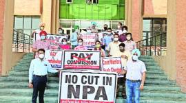 sixth pay commission, doctors, doctors protests, Punjab health minister, balbir sidhu, indian express, indian express news, punjab news
