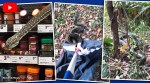 helaina alati sydney snake rescue viral video, snake Australia store viral video, snake in supermarket trending, indian express, indian express news