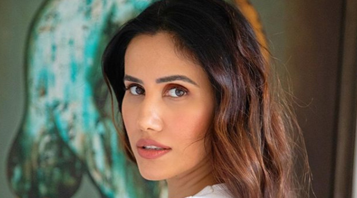 Sonnalli Seygall: News, Photos, Latest News Headlines about Sonnalli ...