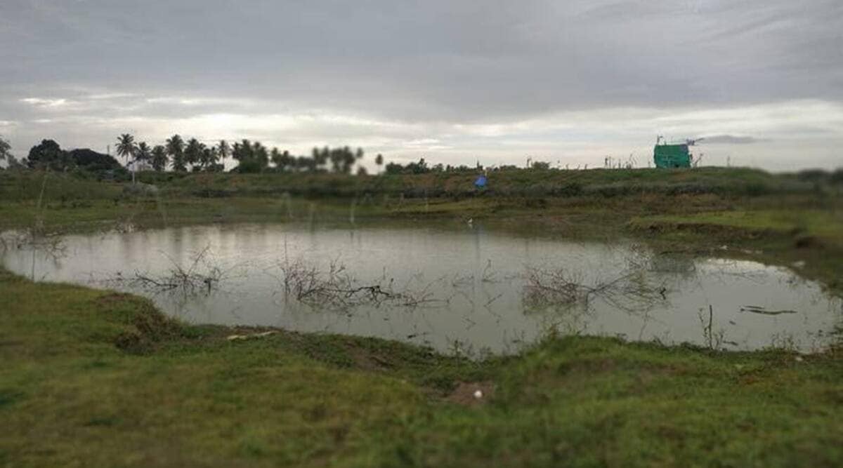 The notification is as per a proposal of the Maharashtra government's forest department. The state had sent the draft proposal to MoEFCC in March, and on April 30, people were invited to give their suggestions and objections within 60 days. (Representational)