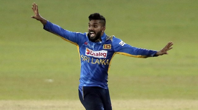 Sri Lanka's Wanindu Hasaranga celebrates taking a wicket. (Photo: PTI)