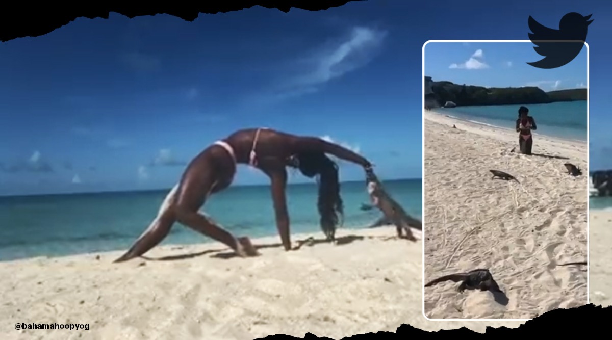 Yoga Instructor Bitten Iguana Viral video, bahamahoopyogi, bahamahoopyogi yoga pose Iguana viral video twitter reactions, indian express, indian express news