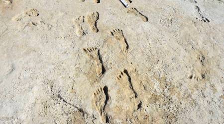 archeology footprint