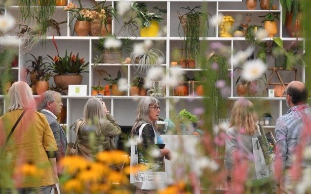 Chelsea Flower Show, Chelsea Flower Show pictures, Chelsea Flower Show pandemic