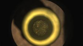 Perseverance’s first cored-rock sample