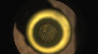 Perseverance’s first cored-rock sample