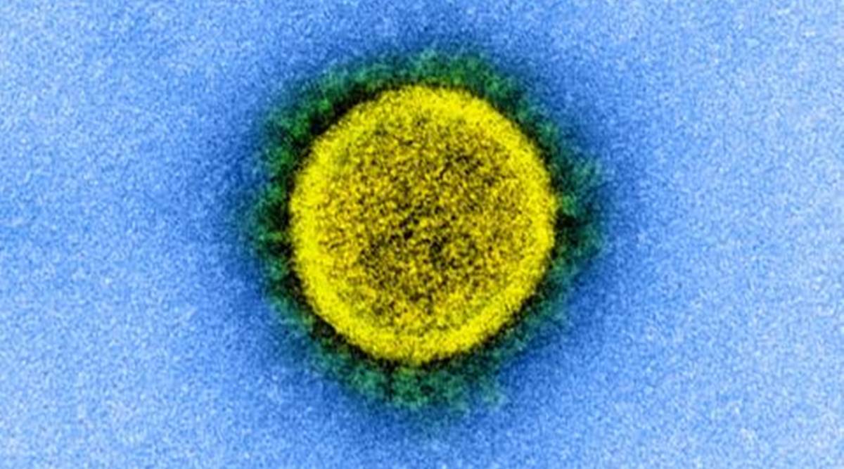 coronavirus