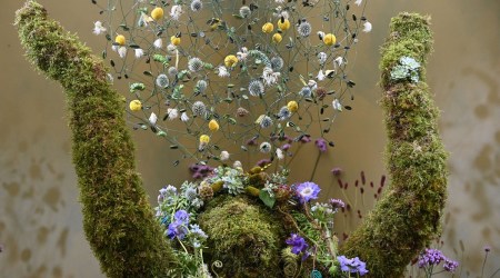 Chelsea Flower Show, Chelsea Flower Show pictures, Chelsea Flower Show pandemic
