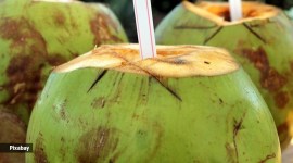 energy drinks, natural energy drinks, what beverages to have during the day, indianexpress.com, indianexpress, natural energy drinks, Indian refreshing drinks, blood sugar control drinks,