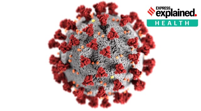 This illustration of the novel coronavirus was among the first created by the Centers for Disease Control and Prevention when the pandemic began in early 2020. (Source: CDC)
