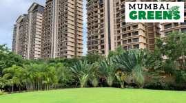 Ft. Mumbai greens no alt set