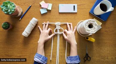 pandemic, making art in the pandemic, pandemic hobbies, hobbies that became business, entrepreneurial hobbies, artists, artists selling artwork in the pandemic, lockdown, social media, using social media, indian express news