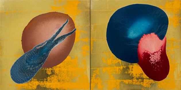new art exhibiton, physical art exhibition, bikaner house exhibition, terrain offline, indianexpress.com, indianexpress,