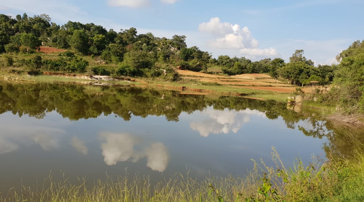 Efforts to restore land for elephant corridor near Bengaluru in limbo