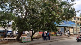Bangalore bus stop no alt set