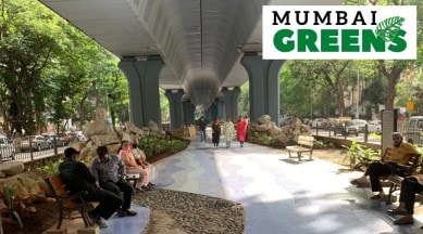 King's circle park, Ruia College junction, Ruia College, Mumbai, Mumbai park under flyover, BMC, Mumbai Greens, Mumbai news, Indian Express, Indian Express news