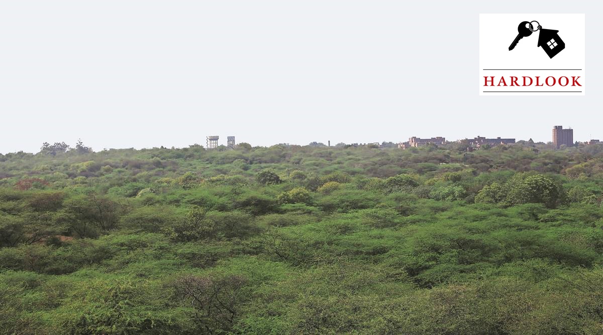 delhi news, delhi news today, delhi trees