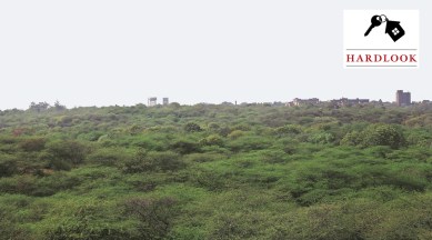 delhi news, delhi news today, delhi trees