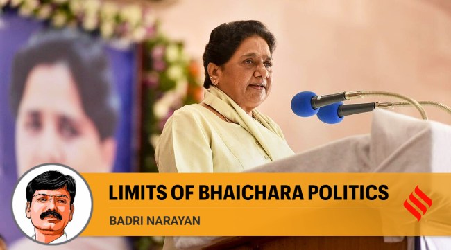 Bahujan Samaj Party supremo Mayawati (PTI Photo)