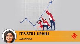 Opinion 4 no alt set