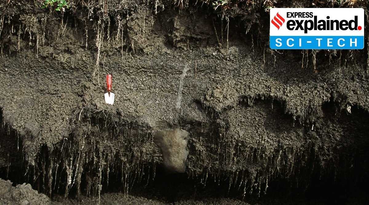Organic permafrost: Little roots hanging down next to the ice mass in the ground. The trowel is 22 cm long for scale. (Credit: Dr.Christopher Burn)