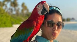 Sunny Leone, Sunny Leone fashion, Sunny Leone news