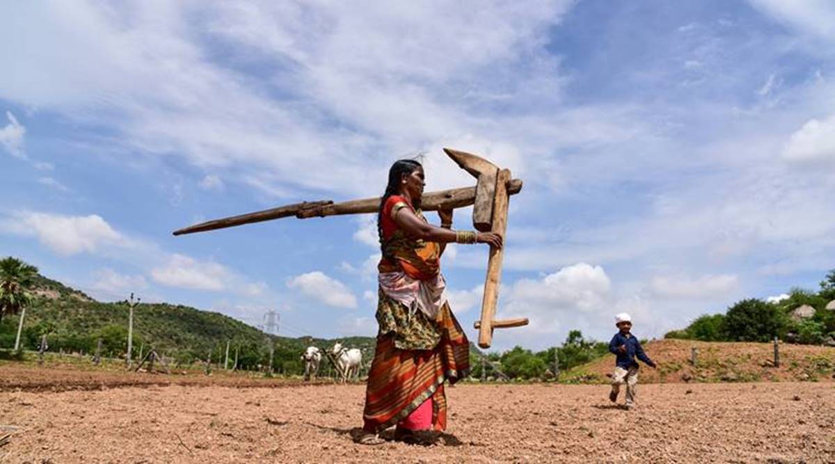 With state support, idea of FRP payment in installments gains traction, but farmers oppose it