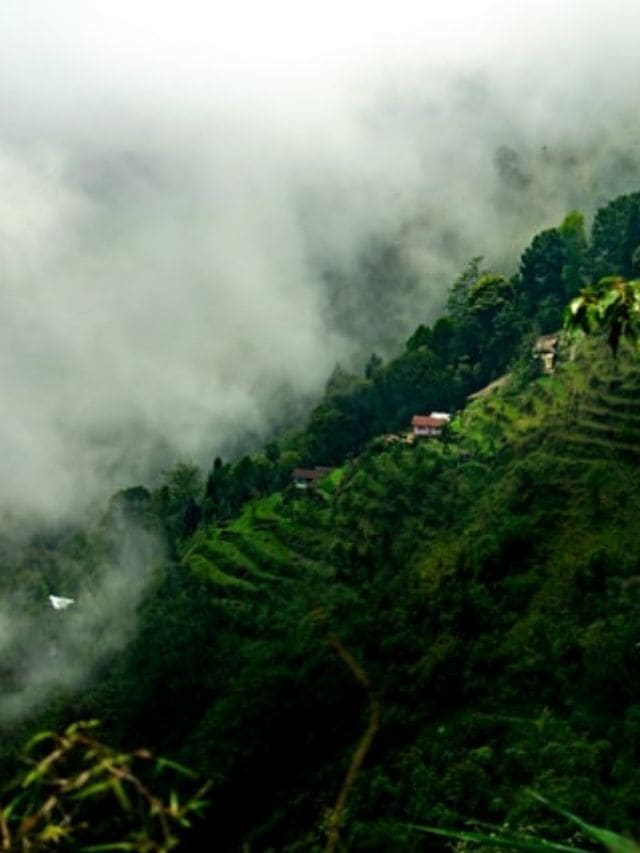 Top-7-hill-stations-to-visit-in-india.jpg