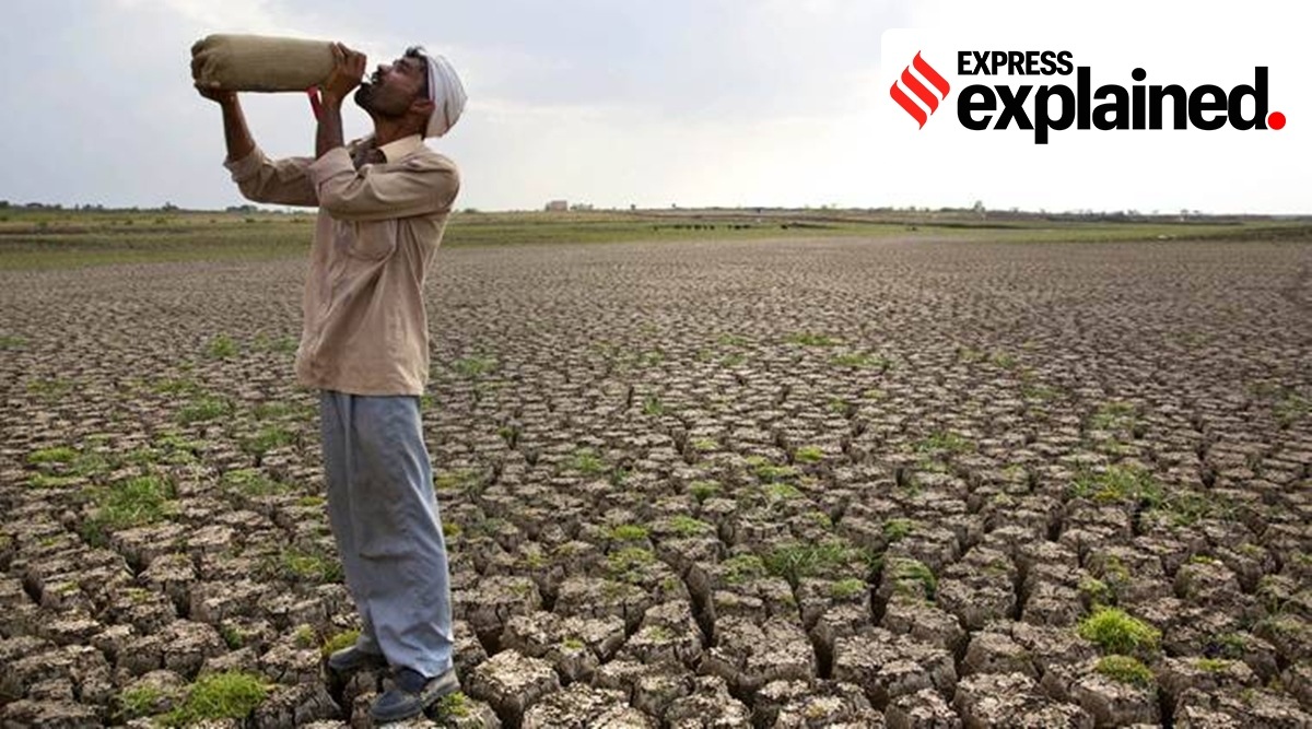 The report says Punjab’s aquifers could be depleted by 2025. (File)