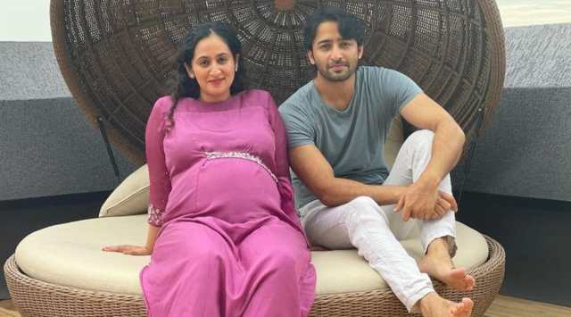 Shaheer Sheikh and Ruchikaa Kapoor got married in November last year.