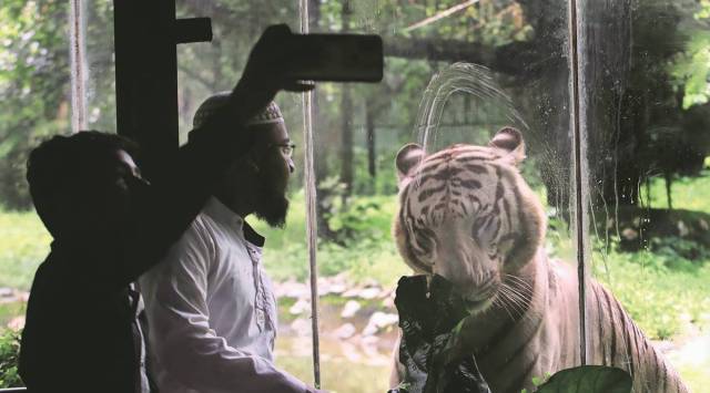 Visitors at Kolkata’s Alipur Zoo, which reopened to the public on Wednesday after remaning closed for nearly five months because of the Covid-19 pandemic. (Express Photo: Partha Paul)