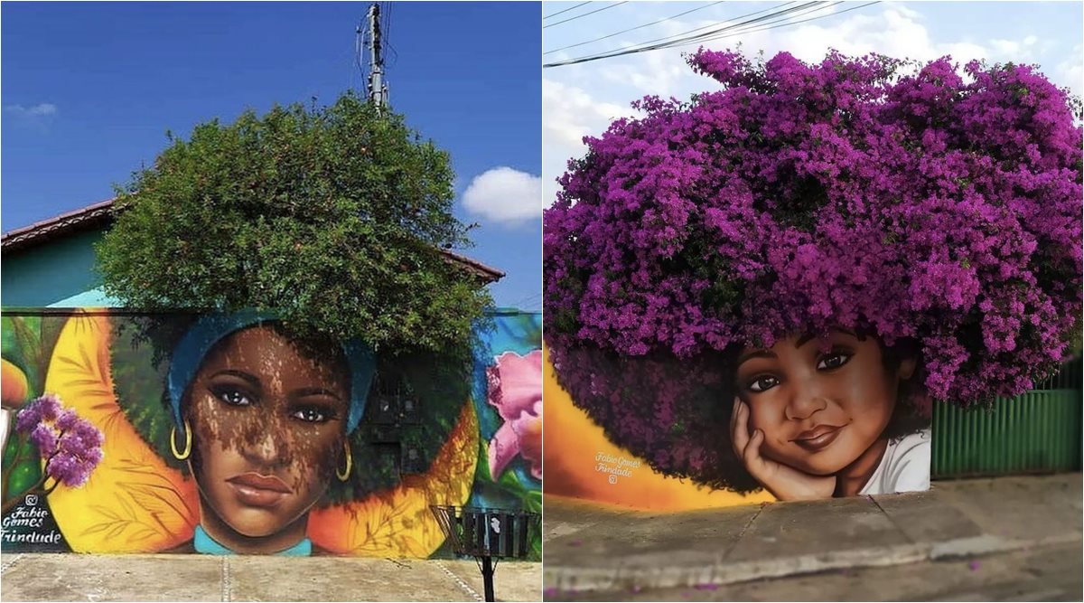 brazilian street art, Fabio Gomes mural, Fabio Gomes trinade art, arjun rampal art, street art trees as faces hair, viral news, indian express