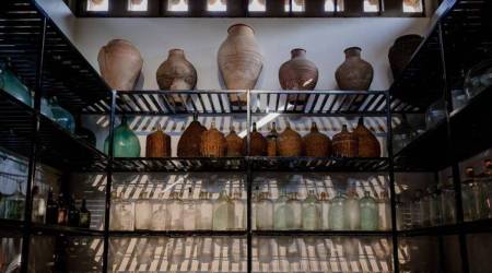 The GCFDBA said that while the GI tag for feni requires the use of the cashew apples grown in Goa. (File)