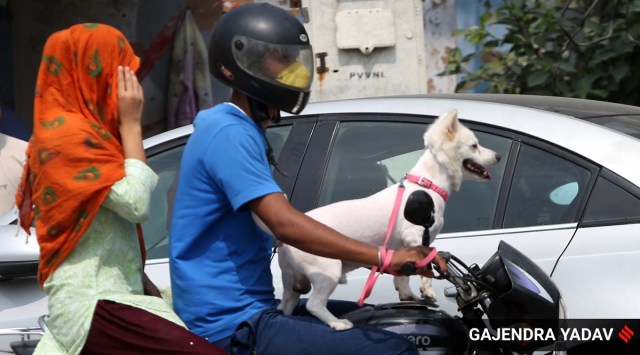A family with their pet dog in Noida.  (Express Photo by Gajendra Yadav)
