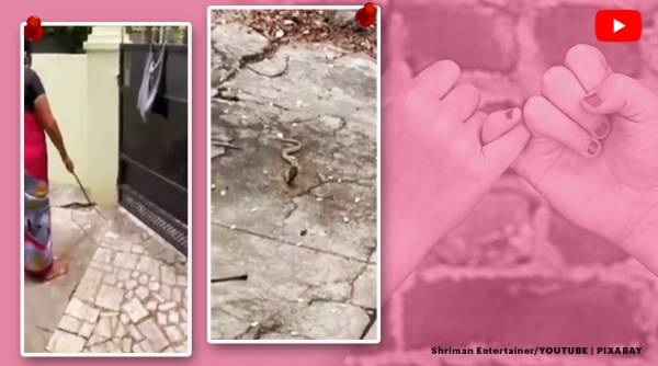 woman asks snake to leave house, tamil nadu woman coax snake with milk, woman promise to visit snake, cobra video, snake videos, viral videos,