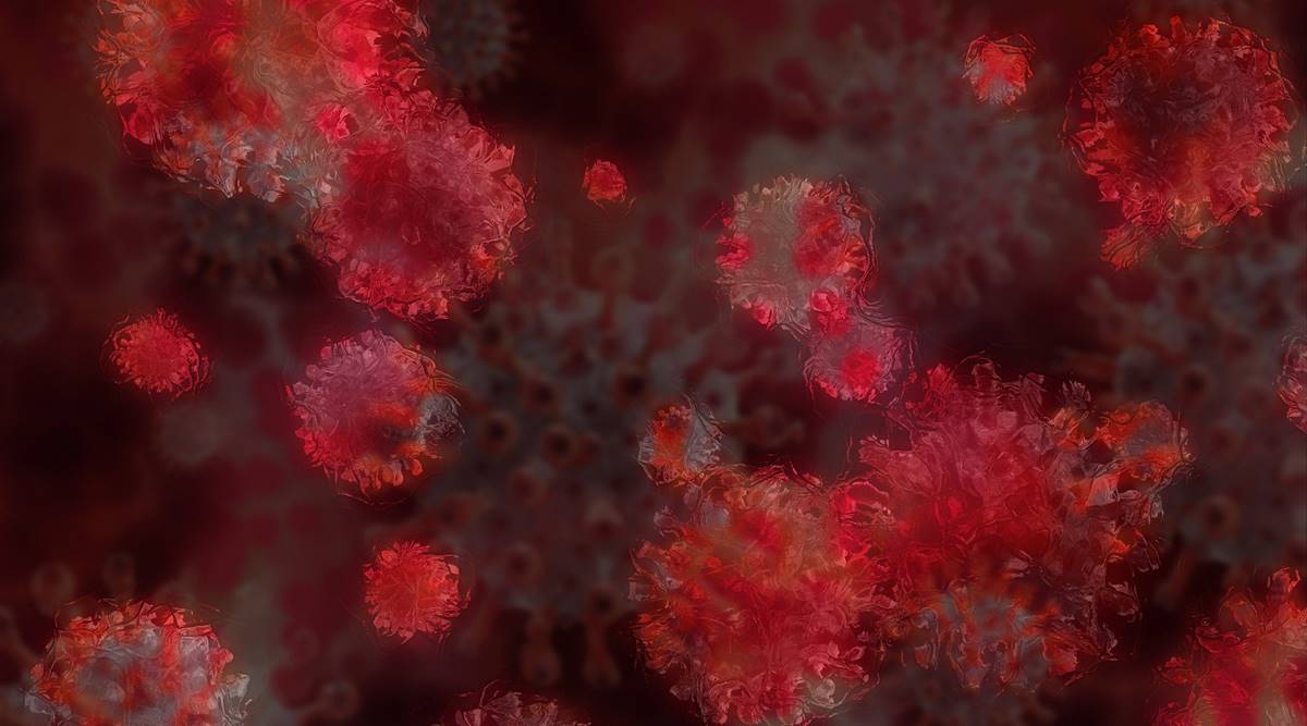 covid 19 coronavirus