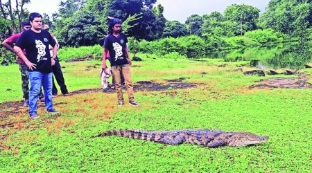 Mumbai: 7-ft-long crocodile rescued from Suraj Water Park