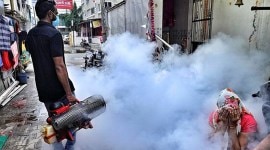 mohali dengue outbreak